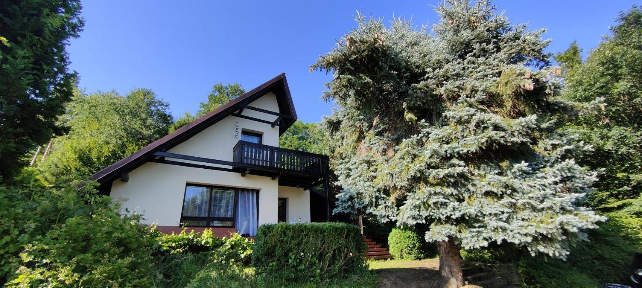 Chalet Na Porabkach Z Kominkiem Miedzybrodzie Zywieckie